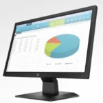 HP P204 19.5-inch Monitor