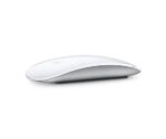 Magic mouse 1