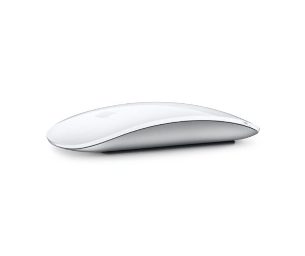 Magic mouse 1